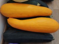 Лот: 19338526. Фото: 2. Кабачки. Продукты