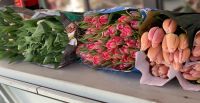 Лот: 15771445. Фото: 2. Тюльпан Пионовидный / флеш пойнт. Цветы, букеты