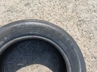Лот: 25621802. Фото: 5. Шина летняя Nokian Nordman SX2...