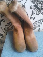 Лот: 3239267. Фото: 3. Сапоги замш жен. Одежда, обувь, галантерея