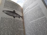 Лот: 16668272. Фото: 20. Рыбы России (к-кт из 2 книг...