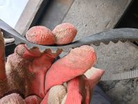 Лот: 24618644. Фото: 4. Ремень ГРМ ВАЗ Приора Калина Гранта... Красноярск