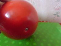 Лот: 19964642. Фото: 7. Неваляшка Кот