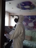 Лот: 16364645. Фото: 3. Дезинсекция от 40/м2. Уничтожение... Услуги