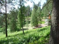 Лот: 3370518. Фото: 5. Шумиха, Продам участок 15 сот...