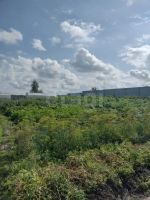 Лот: 25677324. Фото: 9. 3-комн. дача , деревня Замятино...