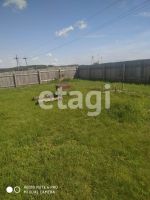 Лот: 25290799. Фото: 10. 2-комн. дом , село Шуваево село...