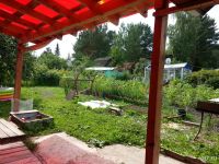 Лот: 9626726. Фото: 7. Родам дачу снт Аэрофлот