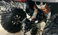 Лот: 23565545. Фото: 14. Квадроцикл на цепи Grizzly 250...