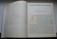 Лот: 19157666. Фото: 5. Золотая книга лучших сказок мира