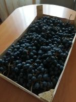 Лот: 15006083. Фото: 2. Ящик винограда 6 кг. Продукты
