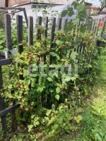 Лот: 25289206. Фото: 16. 3-комн. дача , садоводческое некоммерческое...