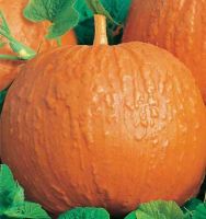 Лот: 6357014. Фото: 2. Тыквенные семечки цена за литрову... Продукты