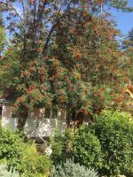 Лот: 25551573. Фото: 20. 1-комн. дача , садоводческое некоммерческое...