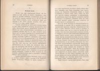 Лот: 23326834. Фото: 12. Две книги в одном переплёте Николая...