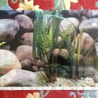 Лот: 13503086. Фото: 2. Фон для задней стенки аквариума. Аквариумистика