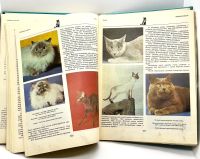Лот: 24064137. Фото: 4. 📘 Игорь Акимушкин. Мир животных... Красноярск