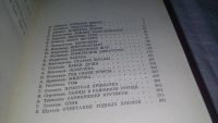 Лот: 10836062. Фото: 2. Рассказ 84, В сборник включены... Литература, книги