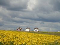 Лот: 5693312. Фото: 2. Участок пос.Солонцы (Нанжуль... Продажа