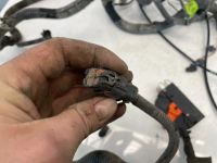 Лот: 24417805. Фото: 20. проводка подкапотная Chevrolet...