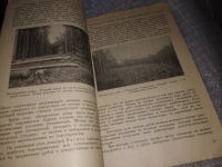 Лот: 16161470. Фото: 5. Г.Ф. Морозов Рубки Возобновления...