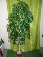 Лот: 6556890. Фото: 2. Береза (искусственное дерево). Цветы, букеты