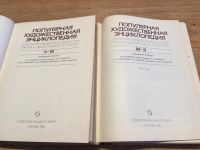 Лот: 9747005. Фото: 2. Популярная художественная энциклопедия... Справочная литература