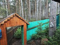 Лот: 25353760. Фото: 5. 2-комн. дача , дачный посёлок...