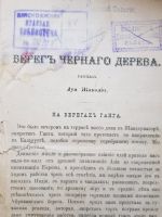 Лот: 14452843. Фото: 3. Книга 1898г. Берег черного дерева... Коллекционирование, моделизм