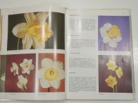 Лот: 19468081. Фото: 3. книга альбом нарциссы тюльпаны... Литература, книги
