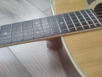 Лот: 16447505. Фото: 5. Акустическая гитара Suzuki F-150R