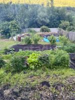 Лот: 25325151. Фото: 7. 2-комн. дача , СТ Восток СТ Восток...