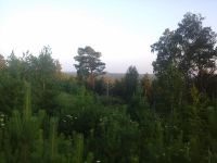 Лот: 4800092. Фото: 3. Пай 10.8 Га. Недвижимость