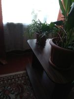 Лот: 15081760. Фото: 17. продам квартиру на первом этаже...