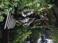 Лот: 5928036. Фото: 7. Вывоз мусора и шпала в подарок