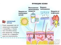 Лот: 14805477. Фото: 4. Барилле Альбер - Как устроено... Красноярск