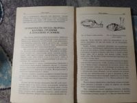 Лот: 25364382. Фото: 4. Ильичева Сало и бекон 1999. Красноярск