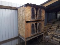 Лот: 11355461. Фото: 2. Клетка. Животные и уход