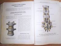 Лот: 18234801. Фото: 2. Синельников Атлас по анатомии... Учебники и методическая литература