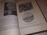 Лот: 5928544. Фото: 9. Учебник гинекологии, Вера Бодяжина...