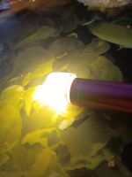Лот: 21072590. Фото: 2. лампочка usb. Радиодетали  (электронные компоненты)