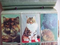 Лот: 9982529. Фото: 7. Календарики с кошками (293 штуки...