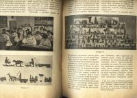 Лот: 13408079. Фото: 6. Профессор Ветекамп. Самодеятельность...
