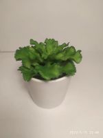 Лот: 19041826. Фото: 4. Искусственные растения, суккуленты... Красноярск