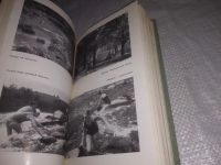 Лот: 18267394. Фото: 18. (1092384)Караев Г. Потресов А...