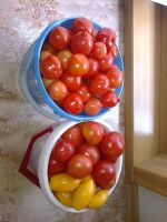 Лот: 6150011. Фото: 2. Помидоры свежие 5л. Продукты