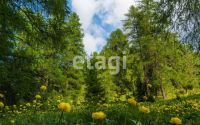 Лот: 25286942. Фото: 13. 4-комн. дом , садоводческое некоммерческое...