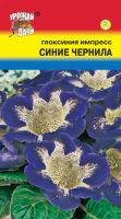 Лот: 10984693. Фото: 2. Семена глоксинии "Синие чернила... Комнатные растения и уход