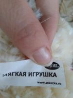 Лот: 9543066. Фото: 3. Медведь маленький. Дети растут