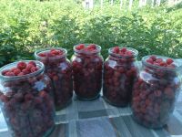 Лот: 20657561. Фото: 2. Малина (цена за 5 литров +бесплатная... Продукты